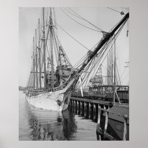 Póster Schooner Paul Palmer