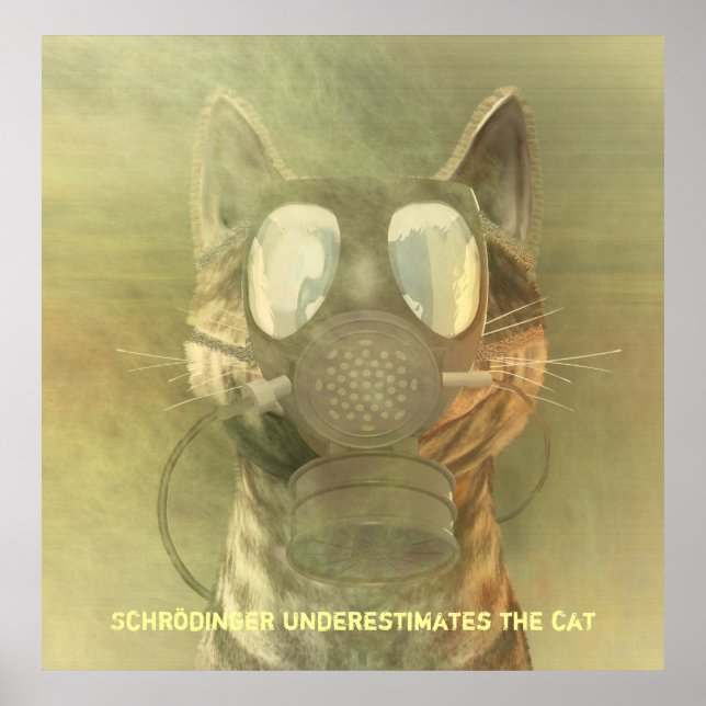 Póster Schrödinger subestima al poster del gato (Frente)