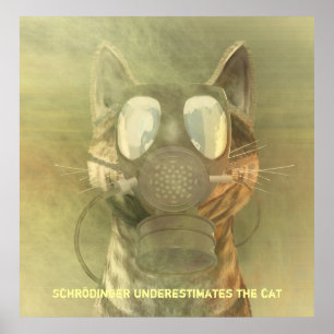Póster Schrödinger subestima el poster del gato