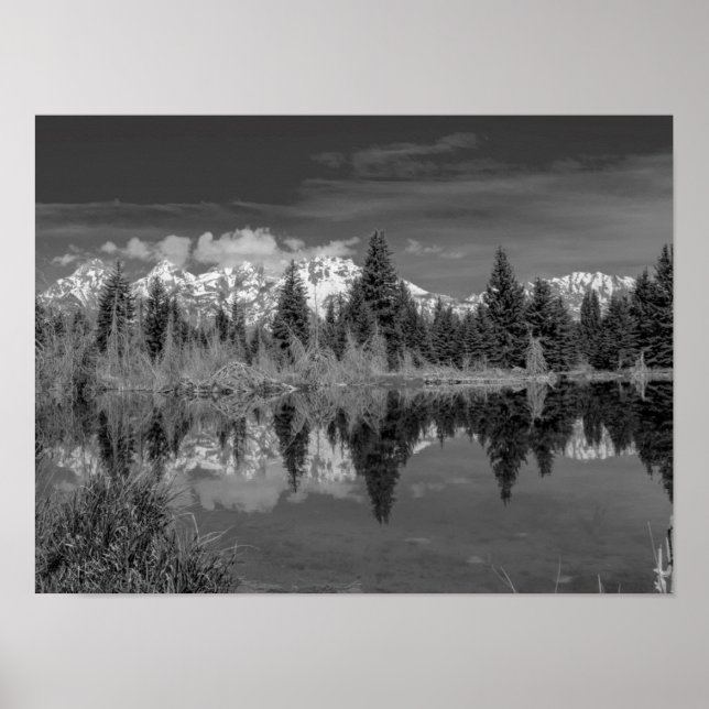 Póster Schwabacher Landing (Frente)