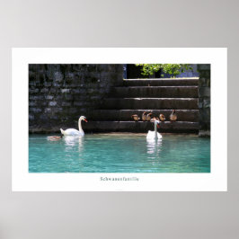 Póster Schwanenfamilie