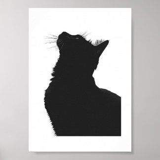 Póster Schwarze Katze