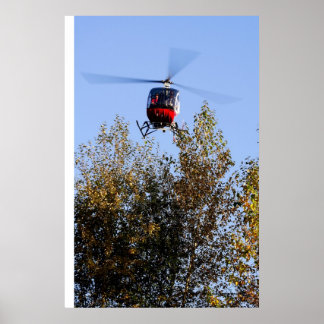 Póster Schweizer llega a tierra