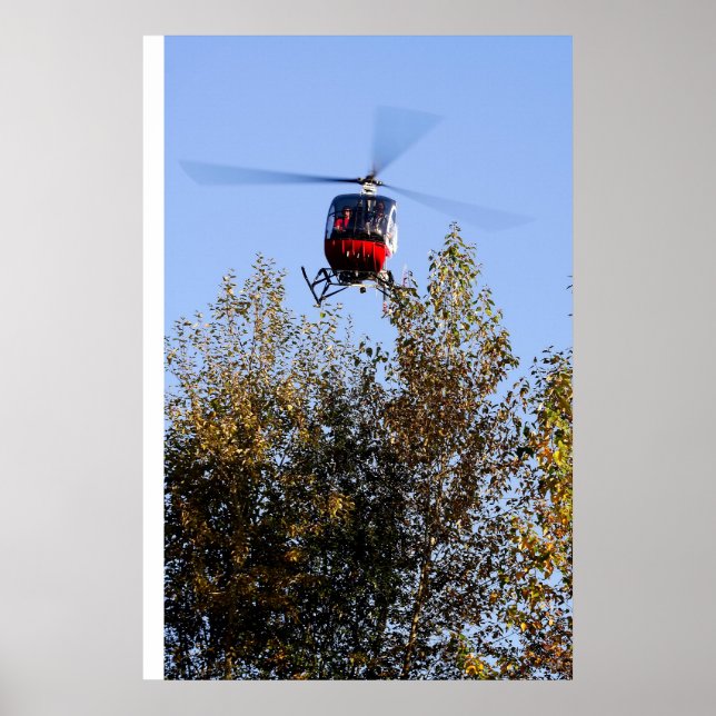 Póster Schweizer llega a tierra (Frente)