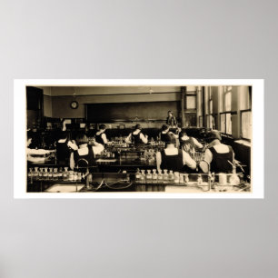 Póster Science Lesson at the London Grammar School for Gi