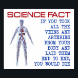 Póster Science Veins Funny Poster<br><div class="desc">DON’T SEE IT? STILL WANT IT? Any of the designs you see here can be customized and put on any of the many Zazzle products! We’ll start on your request as soon as you send it to allangeeD0Tmail@gmailD0Tcom Have you been looking for funny posters and signs on the Internet? Every...</div>