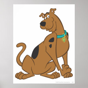 Póster Scooby-Doo Bashful Pose