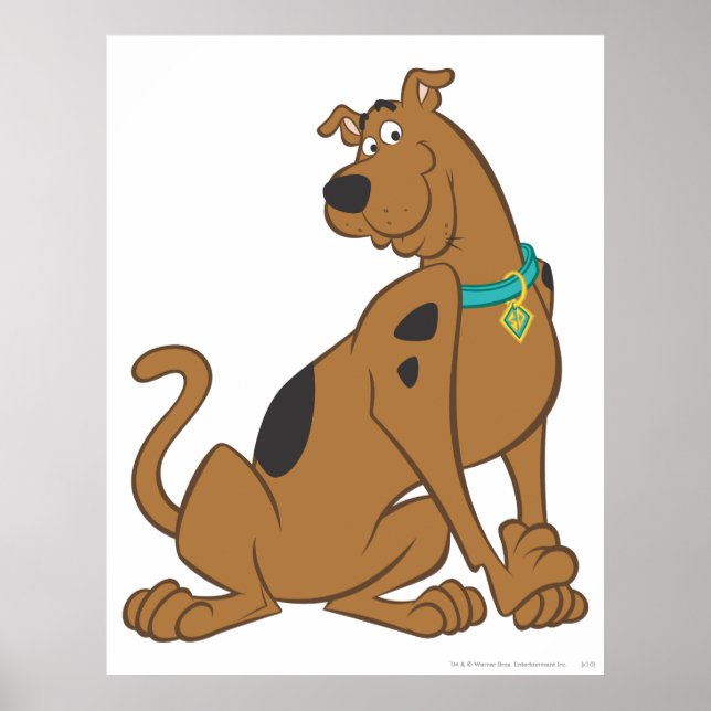 Póster Scooby-Doo Bashful Pose (Frente)