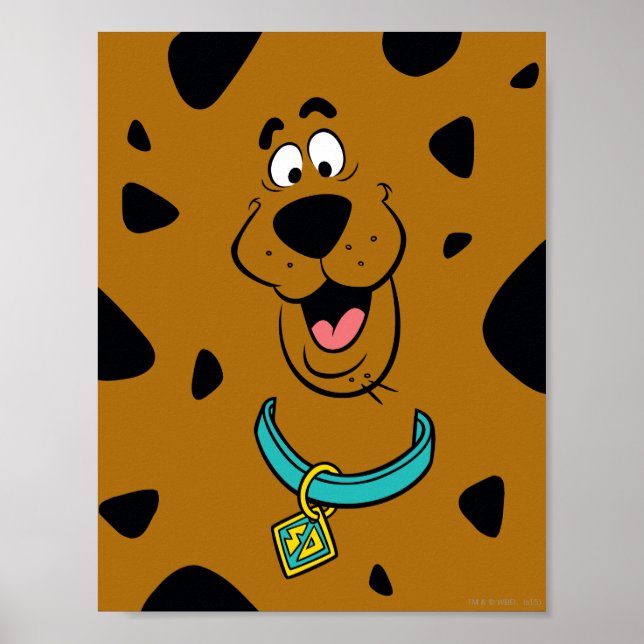 Póster Scooby-Doo Camouflage (Frente)