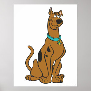 Póster Scooby-Doo Puppy Eyes