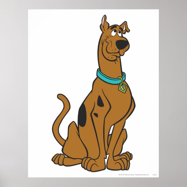 Póster Scooby-Doo Puppy Eyes (Frente)