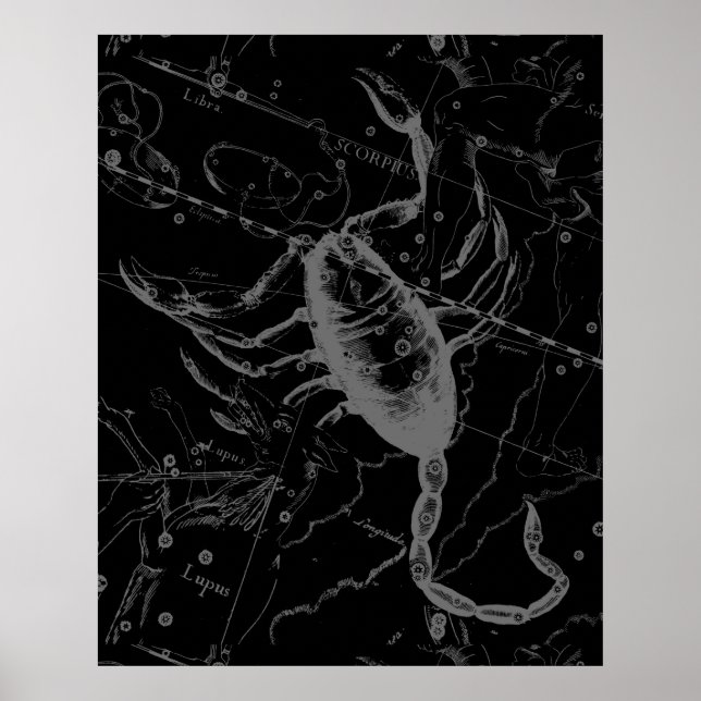 Póster Scorpio Constellation Hevelius 1690 en negro (Frente)