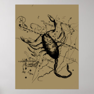 Póster Scorpio Constellation Hevelius alrededor de 1690 V