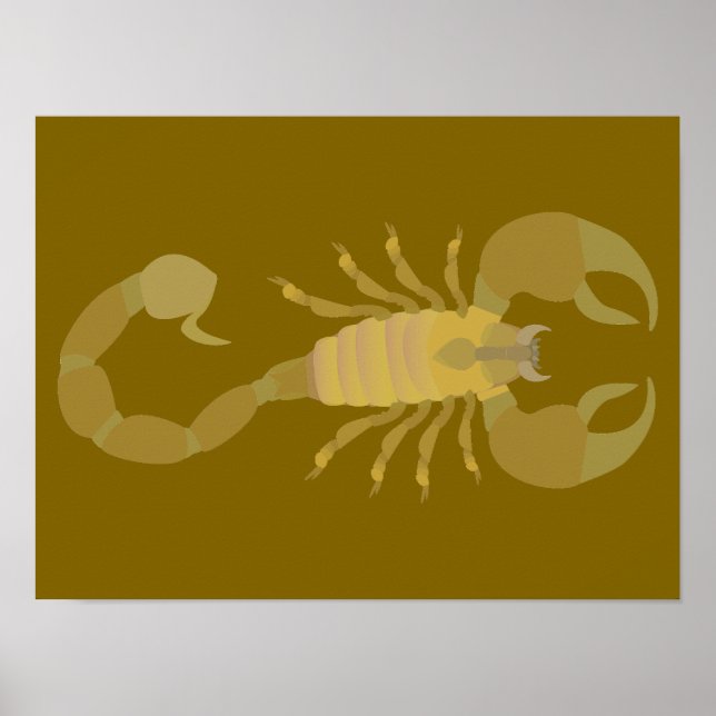 Póster Scorpion (Frente)