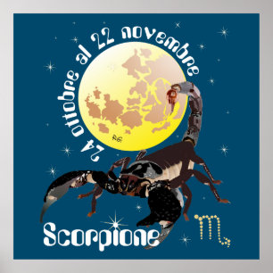 Póster Scorpione 24 ottobre al 22 novembre Poster