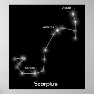 Póster Scorpius Constellation Scorpio Zodiac Business