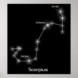 Póster Scorpius Constellation Scorpio Zodiac Business