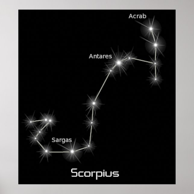 Póster Scorpius Constellation Scorpio Zodiac Business (Frente)