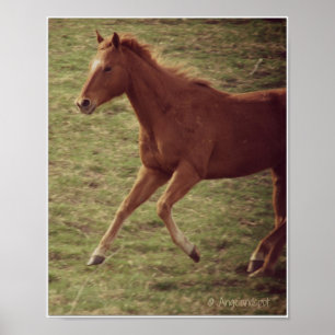 Póster Scotch en movimiento