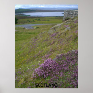 Póster Scotland poster