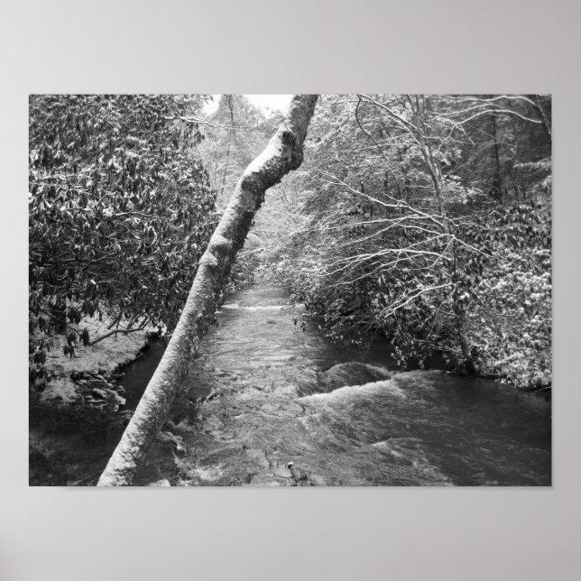 Póster Scott Creek (Frente)