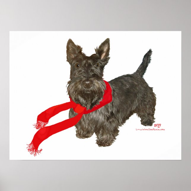 Póster Scottie de invierno con bufanda Wam (Frente)