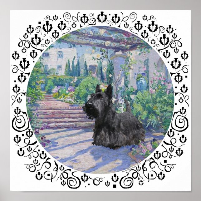 Póster Scottie en jardín primaveral (Frente)