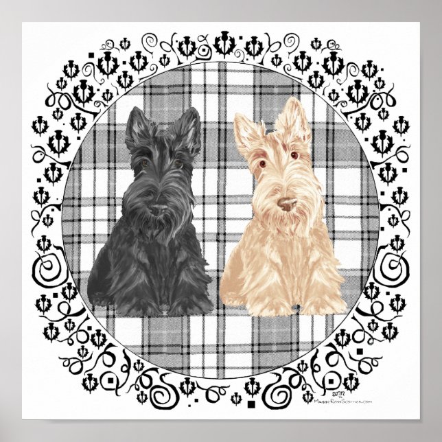 Póster Scotties de tartán (Frente)