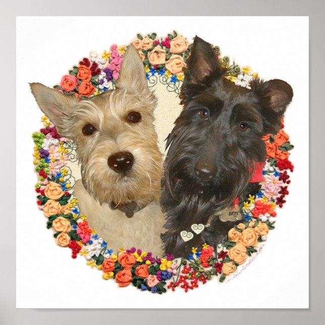 Póster Scotties de trigo y negros (Frente)
