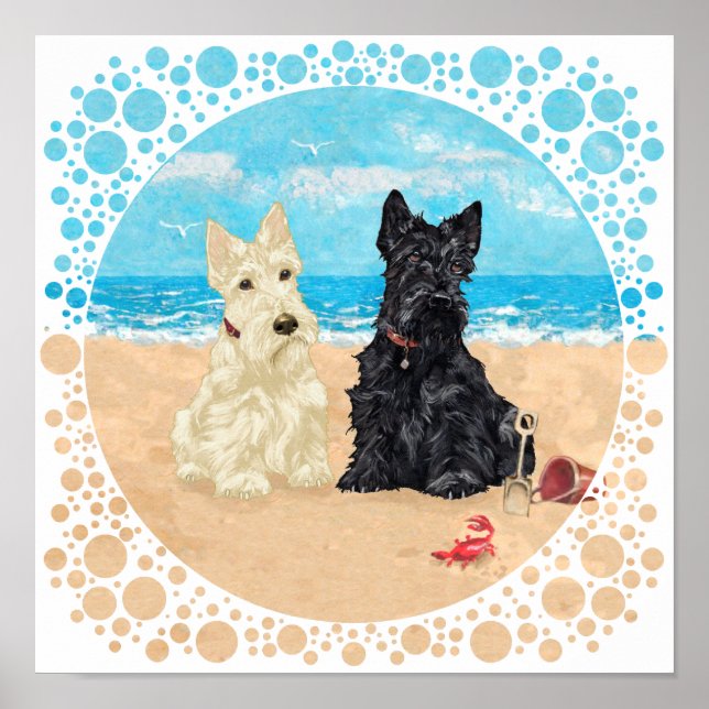 Póster Scotties trigueños y negros en la playa (Frente)