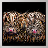 SCoTTiSH HigHLaND CoW ' BiLL & TeD ' by SHiRLeY