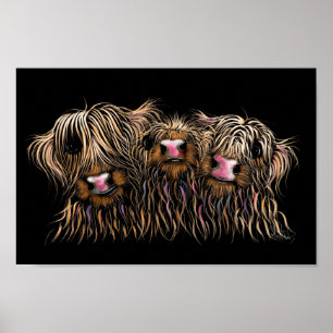 Póster SCoTTiSH HigHLaND CoWS ' THe McDouGHNuTS '