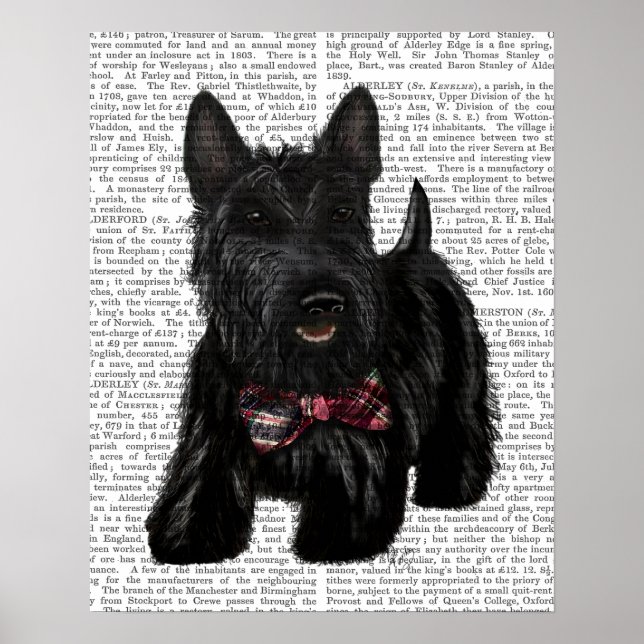 Póster Scottish Terrier and Bow (Frente)
