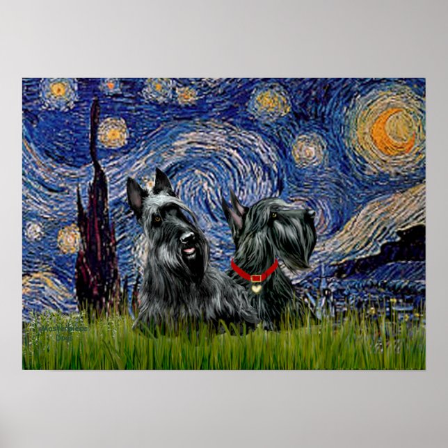Póster Scottish Terrier (dos negros) - Noche estrellada (Frente)