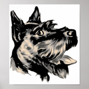 Póster Scotty Dog Poster