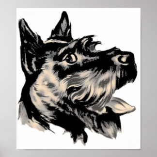 Póster Scotty Dog Poster