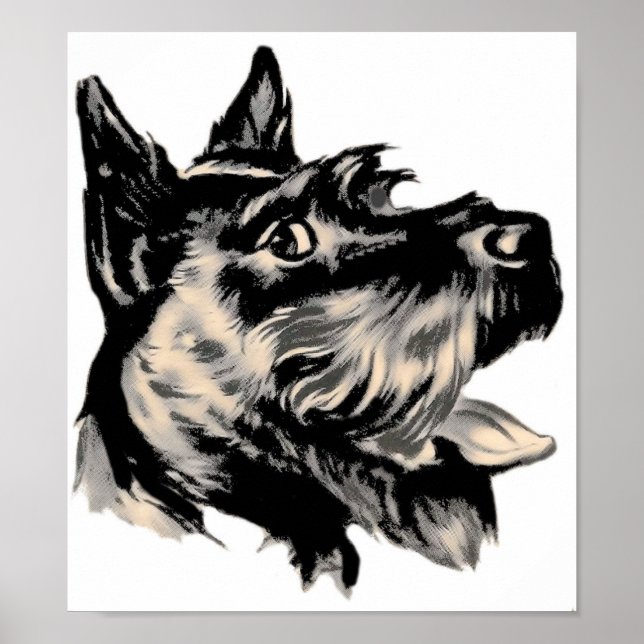 Póster Scotty Dog Poster (Frente)