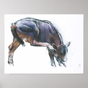 Póster Scratching Calf 2006