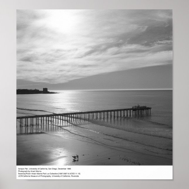 Póster Scripps Pier, 1966 (Frente)
