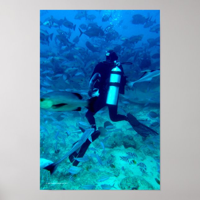 Póster Scuba Pro (Frente)