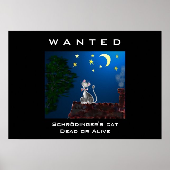 Póster Se busca (Frente)