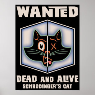 Póster Se busca el gato de Schrodinger