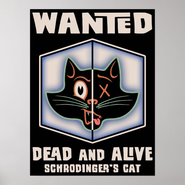 Póster Se busca el gato de Schrodinger (Frente)