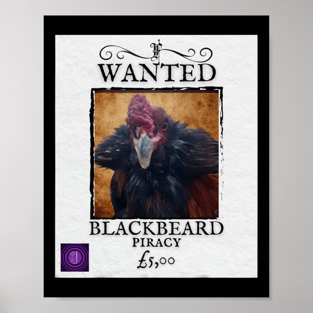 Póster Se busca pollo Blackbeard divertido cartel de pira (Frente)