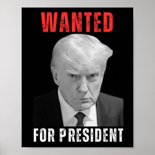 Póster Se busca presidente a Donald Trump 2024