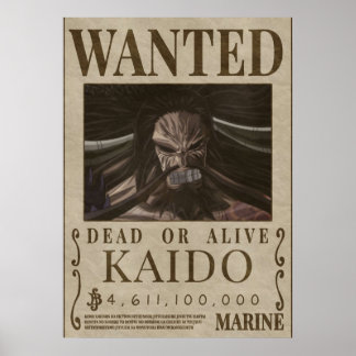 Póster Se busca recompensa por KAIDO kaido