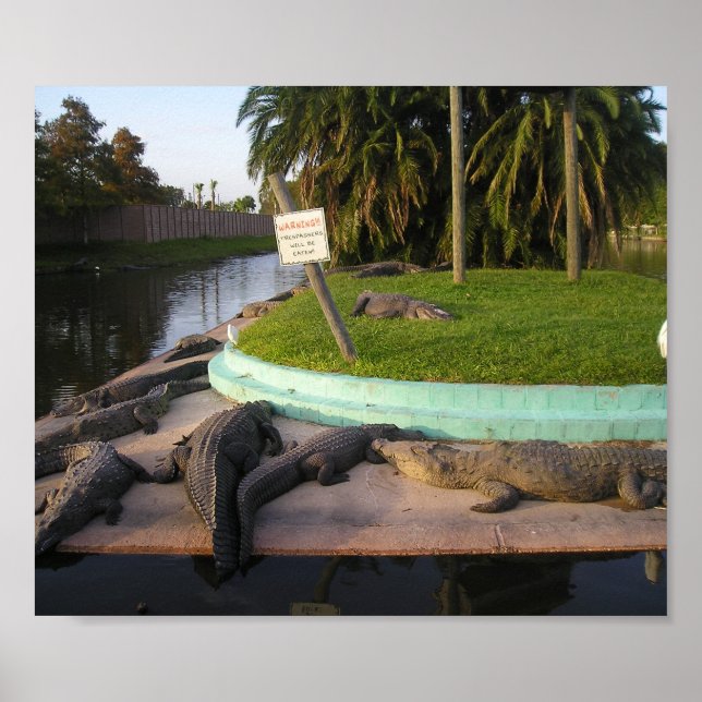 Póster ¡Se Comerán Los Trespasers! (Frente)