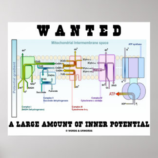 Póster Se Desea Una Gran Cantidad De Potencial Interior