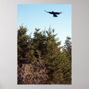 Póster Se eleva el poster