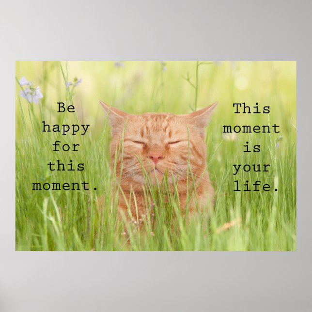 Póster Sé Feliz Por Este Momento (Frente)